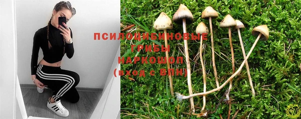 ешки Елизово