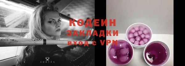 ALPHA PVP Ельня