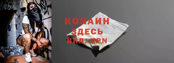 ALPHA PVP Ельня