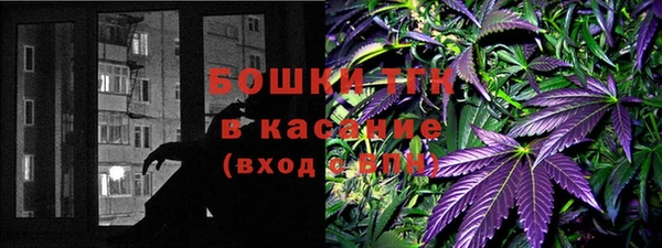 ALPHA PVP Ельня